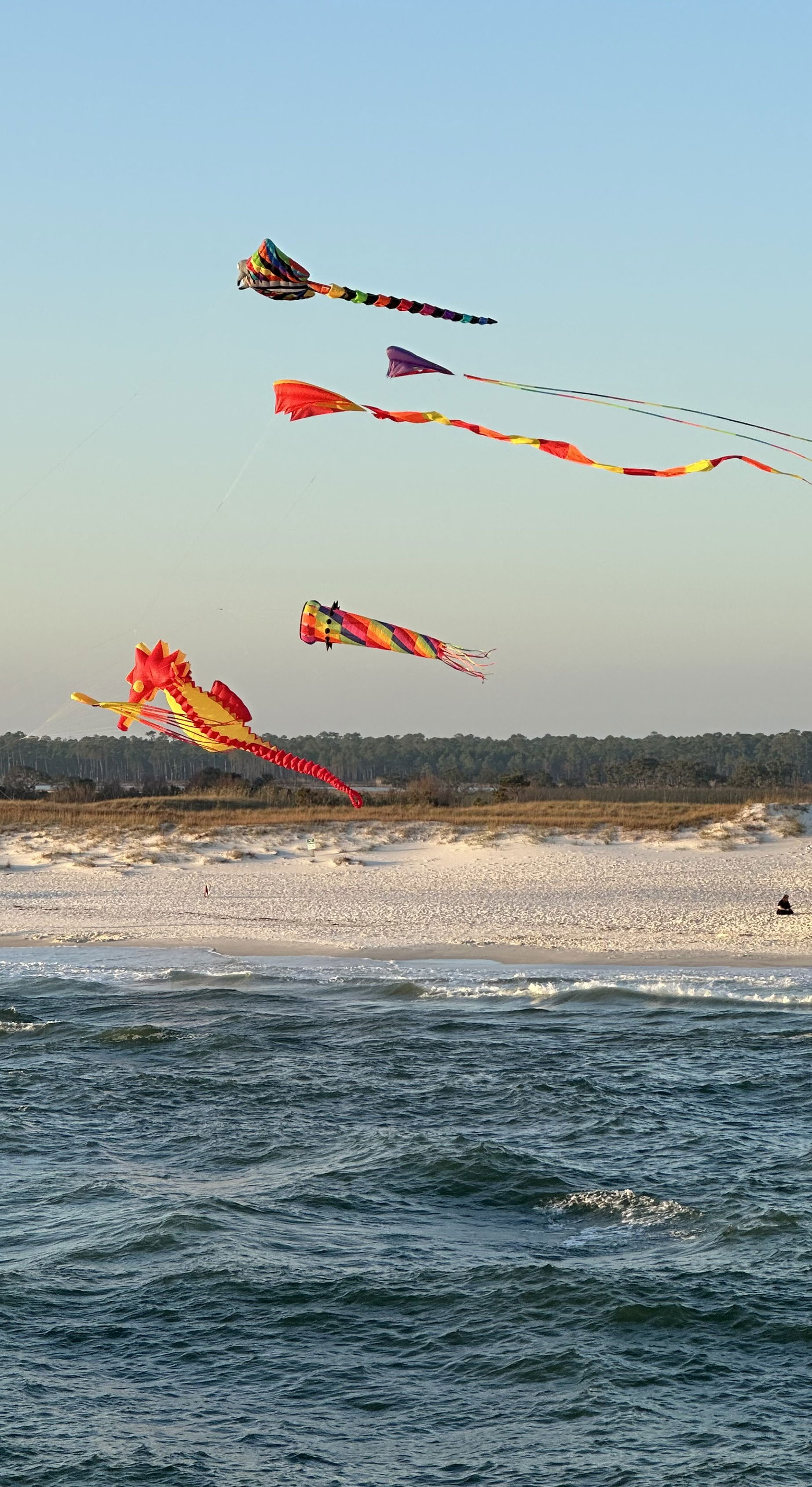 Colorful kites are flying in the sky over a beach with white sand and a gentle ocean. The kites include a large seahorse and several smaller, brightly colored designs. 