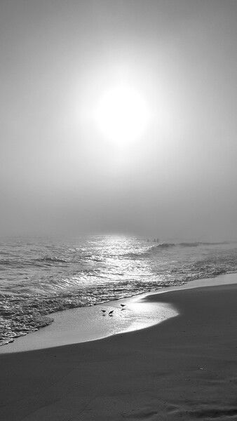 The sun punches through the fog on Dauphin Island, AL