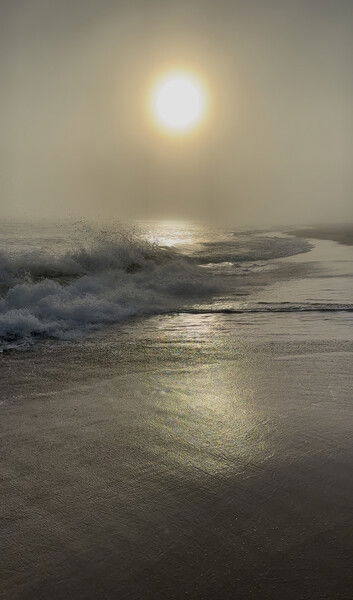 Dauphin Island, Alabama