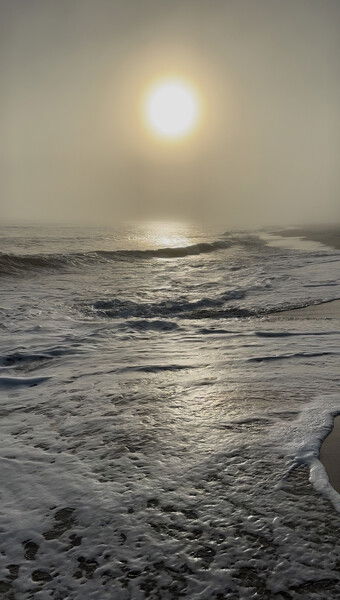 Dauphin Island, Alabama