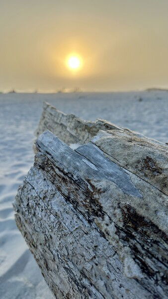 Dauphin Island, Alabama