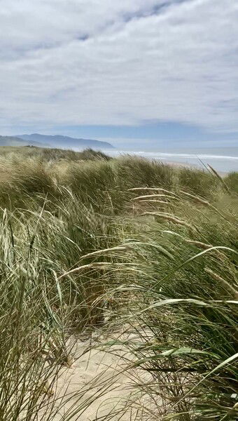 Coastal Oregon