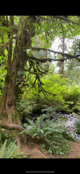 Meanwhile, in Oregon