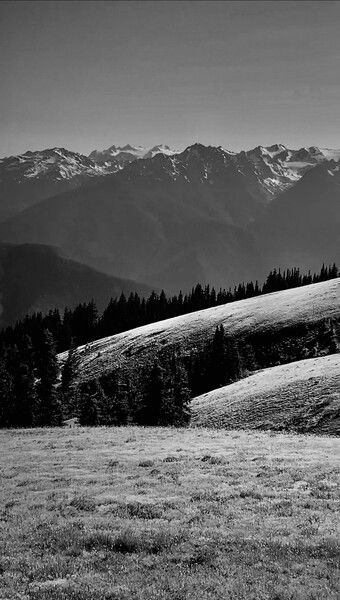 Hurricane Ridge, WA