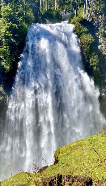 Narada Falls, Mt. Rainier National Park, WA