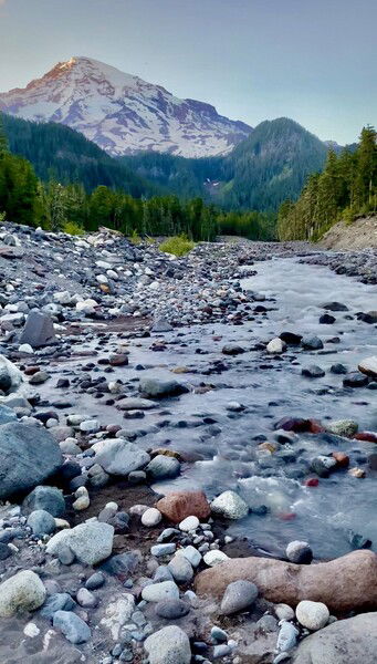 Mt Rainier National Park, WA