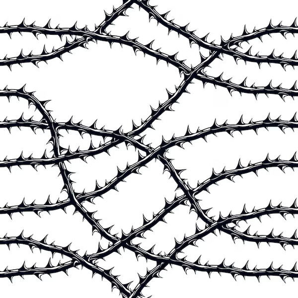 Ignore this. I'm using it as a background.

<link rel='me' href='https://social.lol/@von'>
<a href='https://social.lol/@von' rel='me'>Mastodon</a>