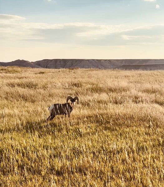 Badlands, South Dakota