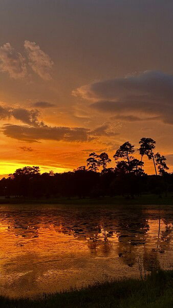 Sunset over Mobile, Alabama during a break in the storms.

#sunsetsaturday
#sunset #alabama  #photography #nature #reflection


Stormbreak Sunset  © 2025 by Eric von Foerster is licensed under CC BY-SA 4.0

