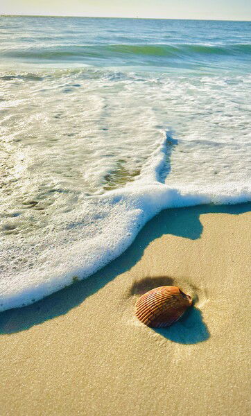Mobile Point where Mobile Bay meets the Gulf. 

Mobile Point  © 2025 by Eric von Foerster is licensed under CC BY-SA 4.0
