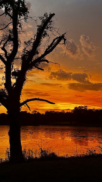 Sunset over Langan Park, Mobile, Alabama

#silentsunday #nature #photography #sunset 

Langan Park Sunset © 2025 by Eric von Foerster is licensed under CC BY-SA 4.0
