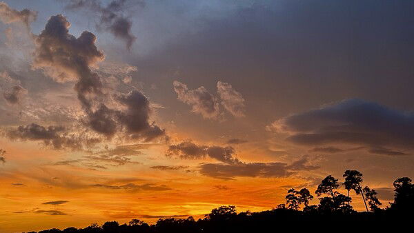 Sunset over a lake in Mobile, Alabama

#sunset #nature #photography #sky 

Lake Sunset © 2025 by Eric von Foerster is licensed under CC BY-SA 4.0