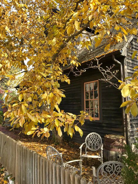 A window on an old home in Zionsville, Indiana

#WindowFriday #FensterFreitag  #window #photography #fall #tree

Autumn Window © 2025 by Eric von Foerster is licensed under CC BY-SA 4.0