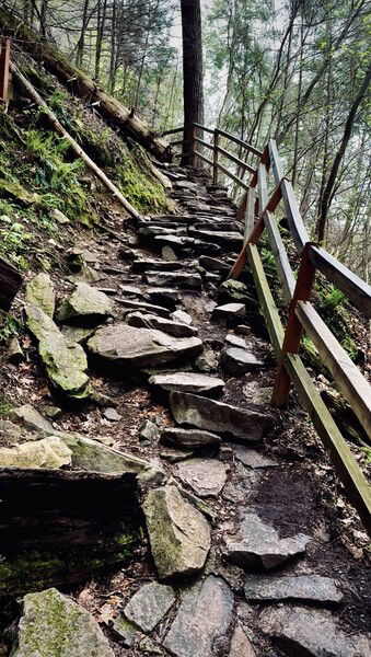 The path to the falls at Fall Creek Falls State Park in Tennessee.

#FootpathFriday #hiking #nature #photography #outdoors #ow

Knee Breaker © 2025 by Eric von Foerster is licensed under CC BY-SA 4.0
