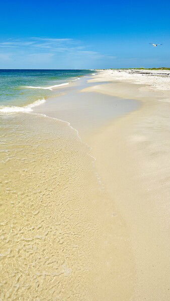 Serenity on Dauphin Island, Alabama

#silentsunday #sunday #nature #photography

Silent Serenity © 2025 by Eric von Foerster is licensed under CC BY-SA 4.0
