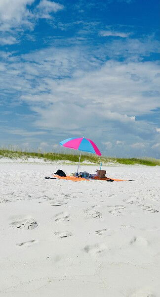 Navarre Beach, Florida

#mindwandermonday #monday #photomonday #fotomontag #beach #sky #nature #outdoors

The Escape © 2025 by Eric von Foerster is licensed under CC BY-SA 4.0
