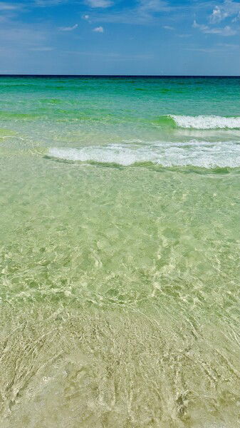 Looking out at the gulf from Opal Beach, Florida

#waterwednesday #gulf #water #sand #sky #nature #naturephotography

Clear Blue  © 2025 by Eric von Foerster is licensed under CC BY-SA 4.0
