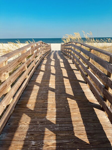 Branyon Beach, Alabama

#beach #nature #naturephotography #boardwalk #gulf #outdoors

Branyon Boardwalk © 2025 by Eric von Foerster is licensed under CC BY-SA 4.0