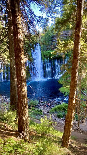 Burney Falls, California

#throwbackthursday #waterfall #nature #forest #naturephotography

Burney Falls View © 2025 by Eric von Foerster is licensed under CC BY-SA 4.0