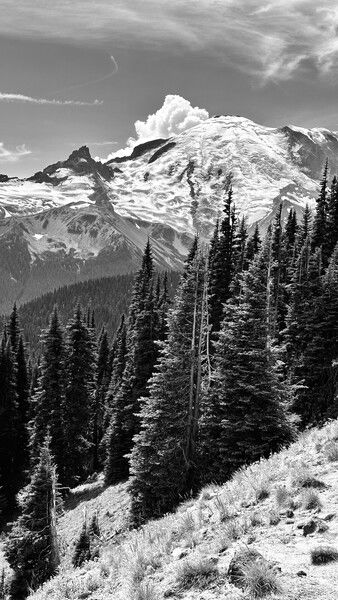 A view of Mt. Rainier near Sunrise Point. 

#throwbackthursday #blackandwhite #nature #mountains #naturephotography #hiking #outdoors

Monochrome Mountain © 2025 by Eric von Foerster is licensed under CC BY-SA 4.0
