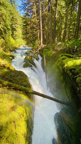 Sol Duc Falls, Olympic Peninsula, Washington

#throwbackthursday #waterfall #nature #naturephotography #rainbow #forest #pnw 

Sol Duc Rainbow © 2025 by Eric von Foerster is licensed under CC BY-SA 4.0
