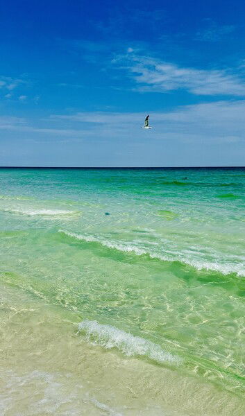 Beautiful Navarre Beach, Florida

#beach #nature #gulf  #waves #naturephotography #bird #saturday

Navarre Flyby © 2025 by Eric von Foerster is licensed under CC BY-SA 4.0