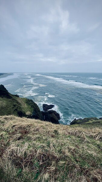 Stormy Day along Coastal Oregon

#ocean #pacific #oregon #pnw #nw #northwest #pacificnorthwest #cliffs #nature #naturephotography #waves #sky

Oregon Mood © 2025 by Eric von Foerster is licensed under CC BY-SA 4.0
