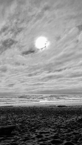 Westport, Washington

#sun #beach #blackandwhite #nature #ocean #saturday #naturephotograophy #clouds #sky

Monochrome Mood © 2025 by Eric von Foerster is licensed under CC BY-SA 4.0
