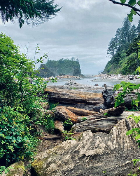 Ruby Beach, Olympic Peninsula, Washington

#beach #pnw #saturday #forest #driftwood #nature #naturephotography #rocks #clouds

Ruby Beach Glimpse © 2025 by Eric von Foerster is licensed under CC BY-SA 4.0
