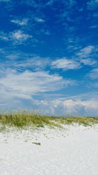 Sunny dunes and blue sky in Navarre Beach, Florida. 

#silentsunday #sunday #easylikesundaymorning #nature #sky #naturephotography 

Navarre Sky © 2025 by Eric von Foerster is licensed under CC BY-SA 4.0
