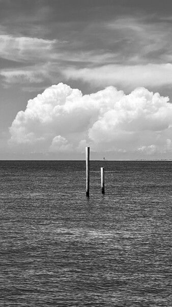 My view this morning on #monochromemonday #monday #morning #gulf #ocean #clouds #nature #naturephotography #seascape


Cloudy Seascape © 2025 by Eric von Foerster is licensed under CC BY-SA 4.0
