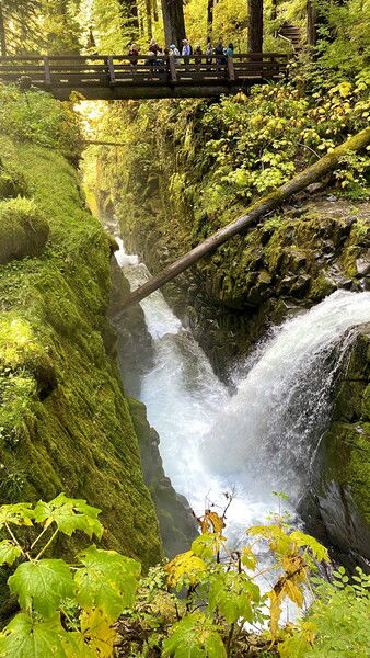 Looking below Sol Duc Falls

#waterfallwednesday #waterfall #wednesday #forest #river #bridge #nature #naturephotography #pnw #washington

Below Sol Duc © 2025 by Eric von Foerster is licensed under CC BY-SA 4.0
