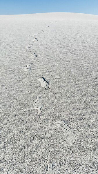 White Sands National Park, New Mexico

#silentsunday #sanddunesunday #nature #naturephotography #hike #explore

Dune Tracks © 2025 by Eric von Foerster is licensed under CC BY-SA 4.0