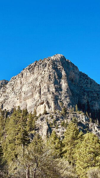 Fletcher Canyon, Nevada