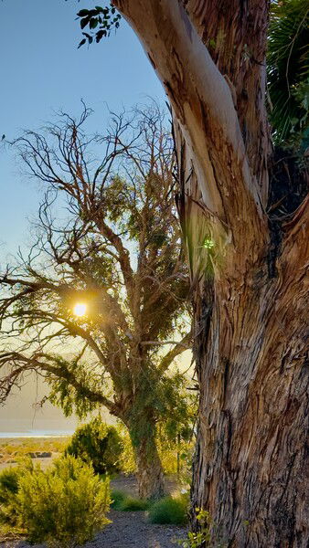 Good Morning, from the Boulder Basin of Lake Mead, Nevada. 