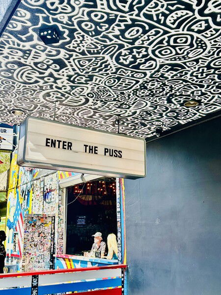 The club is named “Discopussy” in case you were wondering. 🤔