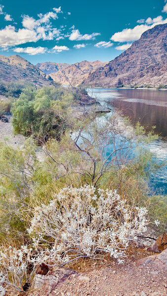 Colorado River, Willow Beach, Arizona