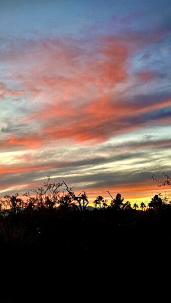 Another view from the aptly named Sunset Park