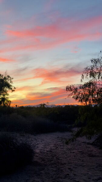 Sunset from the dunes