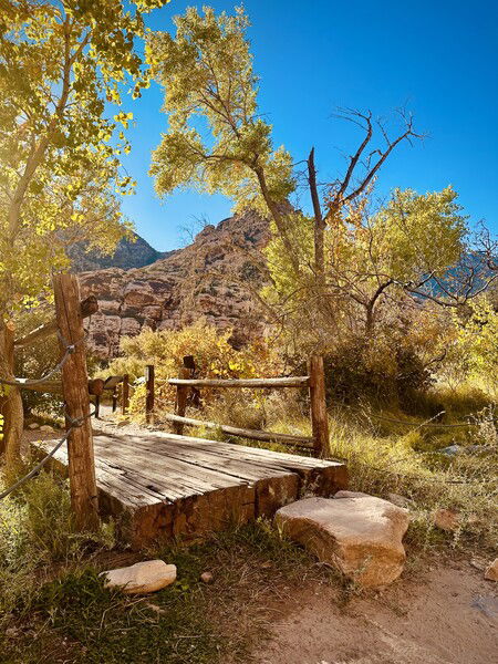 🎶 Run away with me
Lost souls in revelry (hey)
Running wild and running free
Two kids, you and me (hey) 🎶