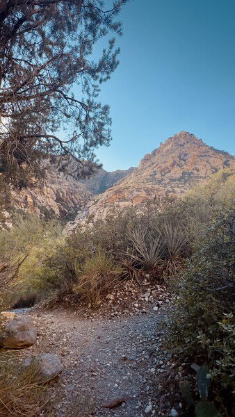 Wherever I may roam… 