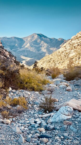 Spring Mountains Wilderness