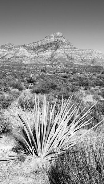 Looking across the wash