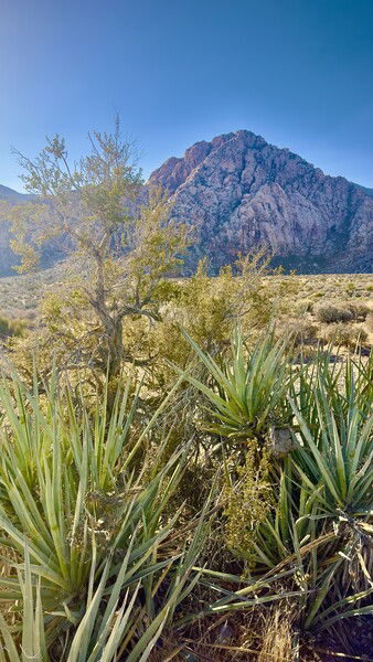 It was a beautiful day