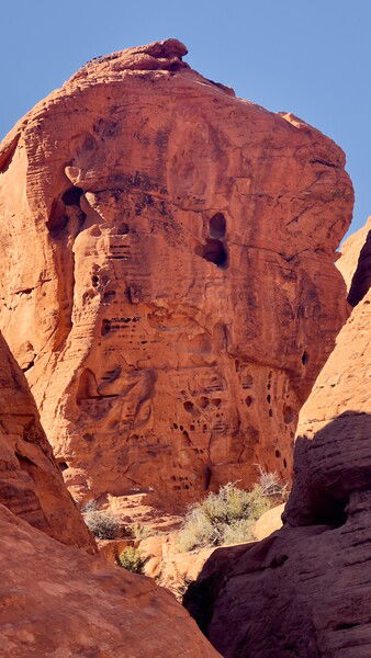 I want to set up some Jawa statues here