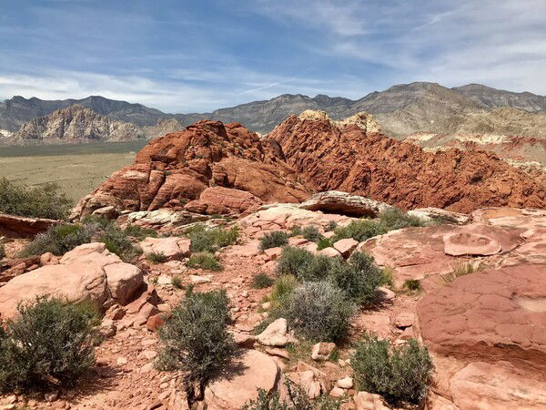 Atop the Calico Hills looking out at the Spring Mountain Range