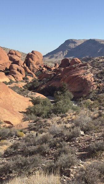 Soundtrack by Ennio Morricone 🌵🏜️🐴🤠
