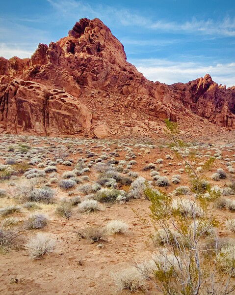 *tumbleweeds roll on by, spurs jingle*