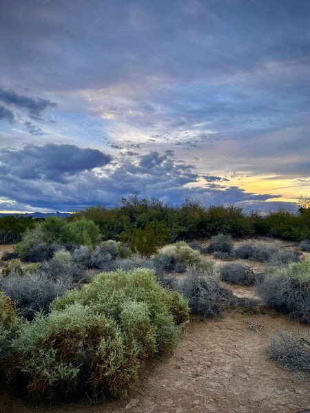 A break in the weeks storms