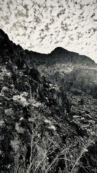 A million textures in the desert